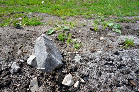 Dealing With Rocky Soil How To Get Rid Of Rocks In Soil