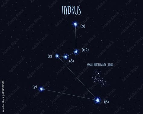 Hydrus The Lesser Water Snake Constellation Vector Illustration With
