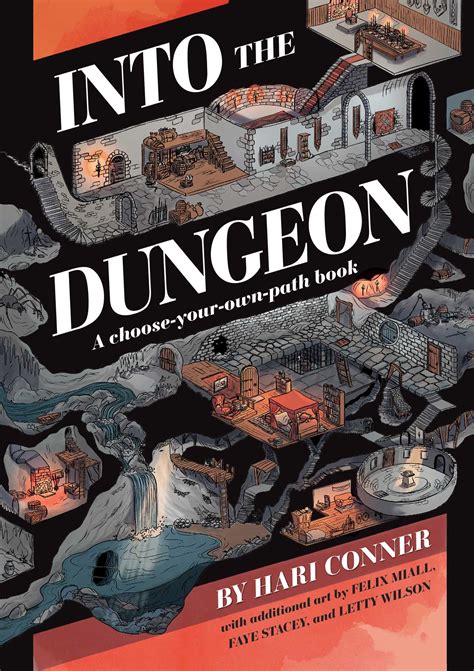 Into The Dungeon A Choose Your Own Path Book By Hari Conner