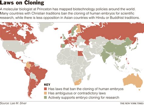 The New York Times Science Image Laws On Cloning