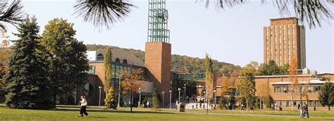what will they learn state university of new york binghamton university