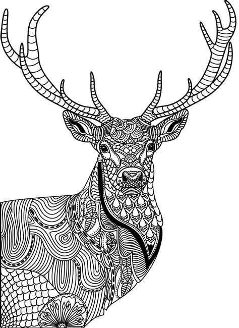 Free wild animals coloring pages to print for kids. Wild Animals to color | Colorish: free coloring app for ...