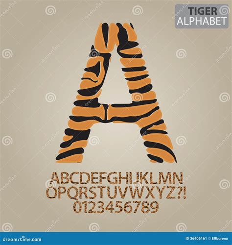 Tiger Stripe Alphabet And Numbers Vector Stock Vector Illustration Of