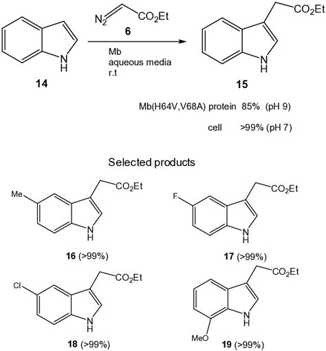 C H Functionalization Of Indoles Alkylation With Ethyl Diazoacetate