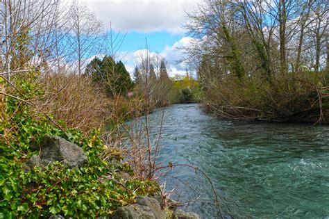 Lower Big Quilcene River Restoration Anchor Qea