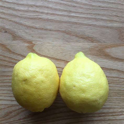 Lemon Mx Each