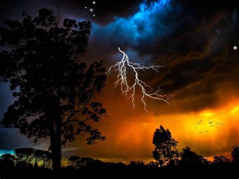 Lightning Sky Trees Weather Natural Landscape Hd Wallpaper Preview