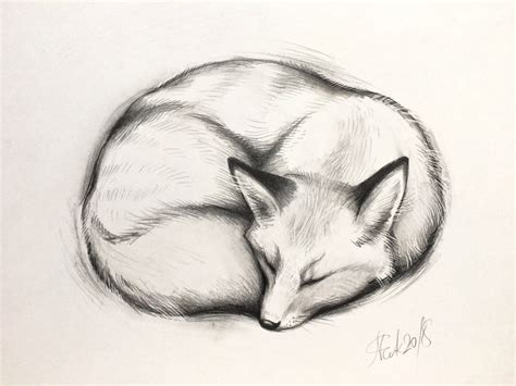 Original Fox Pencil Drawing Cute Sleeping Fox Animal Etsy