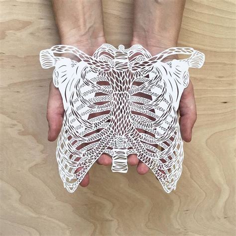 Intricate Hand Cut Anatomical Paper Illustrations By Ali Harrison The