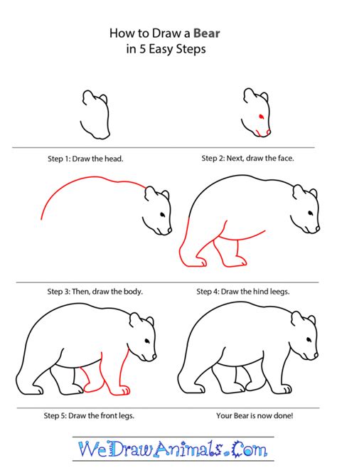 Aug 24, 2021 · dr. How to Draw a Bear in Five Easy Steps (FREE Printable) + Tons of How to Draw Animal Tutorials