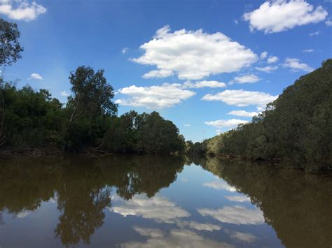 Mary River National Park Nt Tread Local