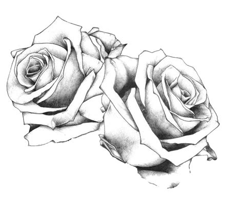 Tattoo Drawing Art Rose Flash Rose Png Download 788661 Free