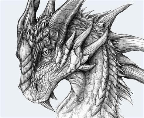 Only Cool Drawings Of Dragons Dragon Drawing By Arkaedri