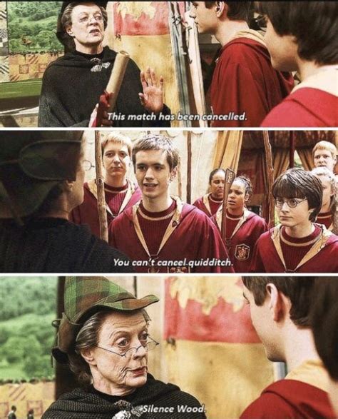 15 Times Professor Mcgonagall Was The Baddest Witch In All Of Hogwarts Harry Potter Harry