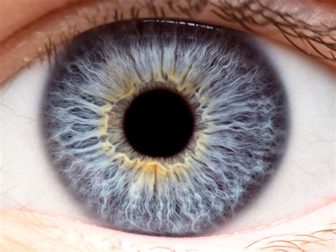 Precise Bio Opens Ophthalmology Facility To Develop 3d Printed Corneas