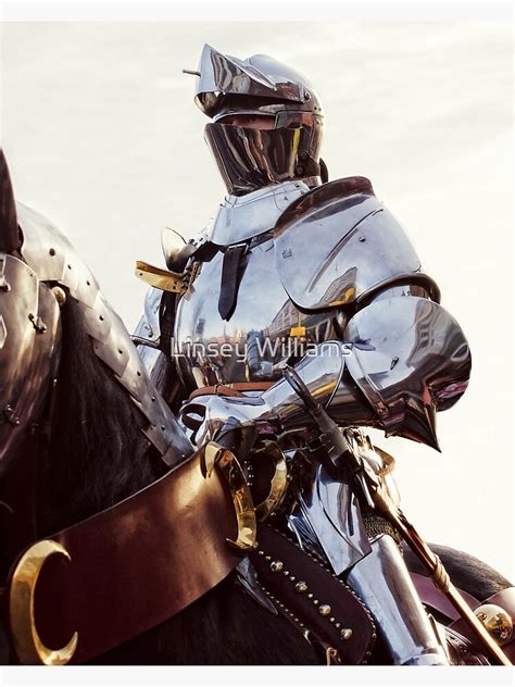 Knight In Shining Armour Canvas Print By Lurcherd Redbubble