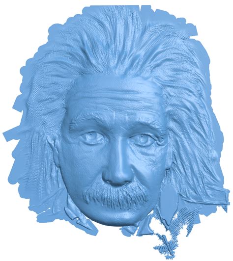 Albert Einstein 3d Model Vector Files
