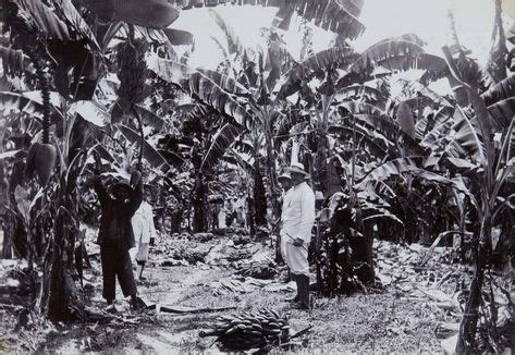 Idee N Over Plantages Suriname Commewijne Geschiedenis Plantage