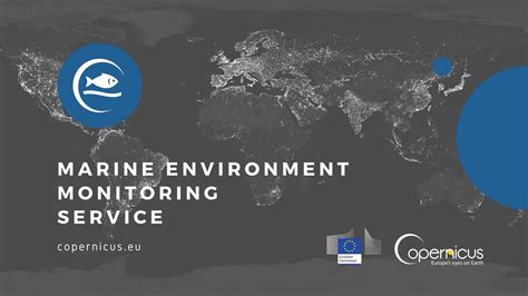 Copernicus Marine Environment Monitoring Service Products