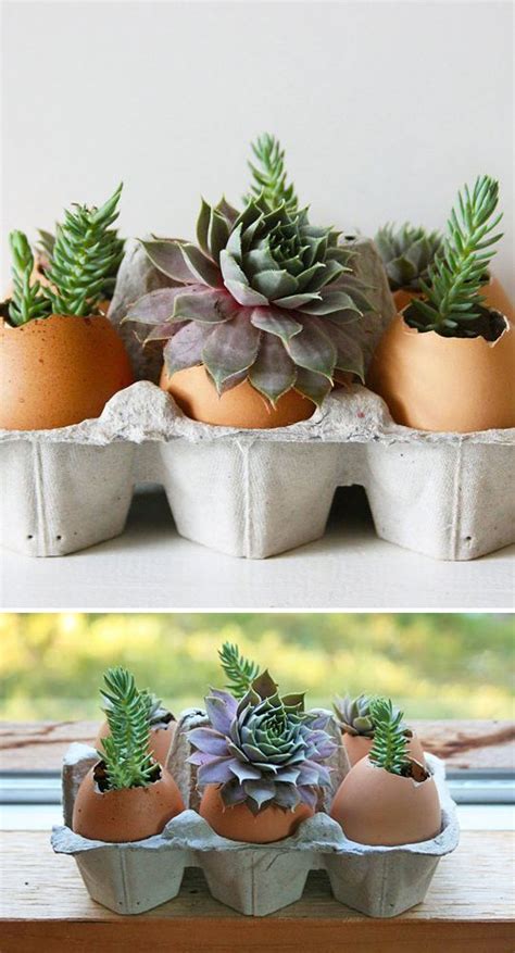 One of the very best pots for plants indoor. 16 Beautiful DIY Flower Pot Ideas That Add Life To Your ...