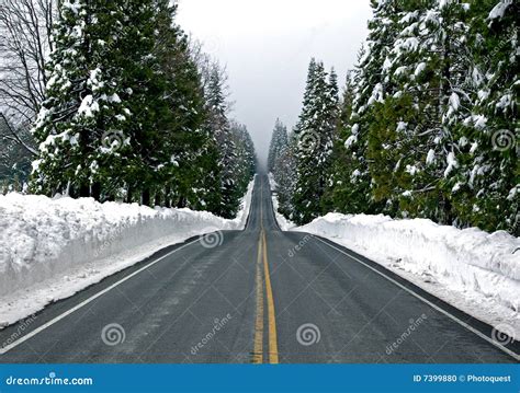Road Through Snowy Mountains Stock Photo Image Of Evergreen Line