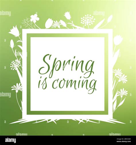 Spring Is Coming Banner Vector Design With Flowers Sihouettes