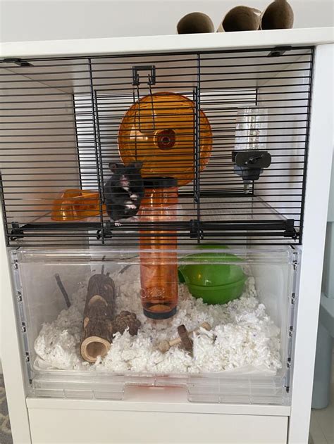 Qute Hamster Gerbil Cage Stylish Hamster House Hamster Cages