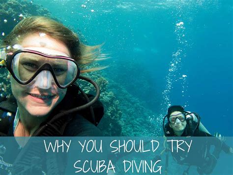 Why You Should Try Scuba Diving More Fun Diving