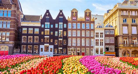Gezimanya'da amsterdam hakkında bilgi bulabilir, amsterdam gezi notlarına, fotoğraflarına, turlarına ve videolarına ulaşabilirsiniz. WOW! Pluk je eigen tulpen op de Dam in Amsterdam - 100%NL ...