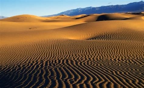Cuatro Ciénegas Y Otras 6 Maravillas En El Desierto De Chihuahua