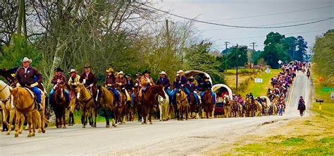 Trail Ride Arrives The Sealy News