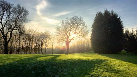 Free Images Tree Nature Forest Grass Outdoor Light Sunshine