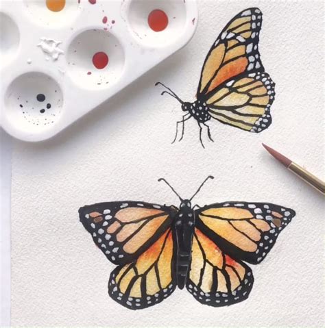 Easy Monarch Butterflies Watercolor Process Video Butterfly Art