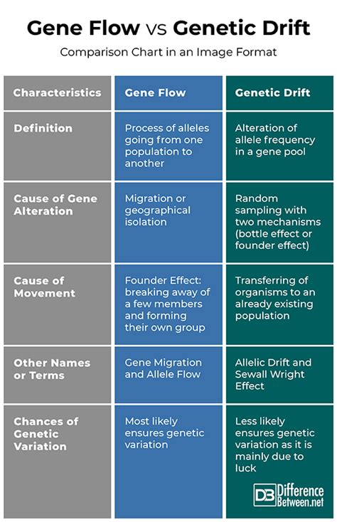 The Difference Between Gene Flow And Genetic Drift Difference Between