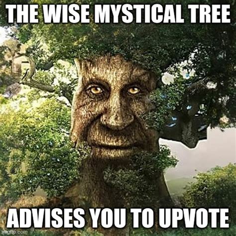 Wise Mystical Tree Imgflip