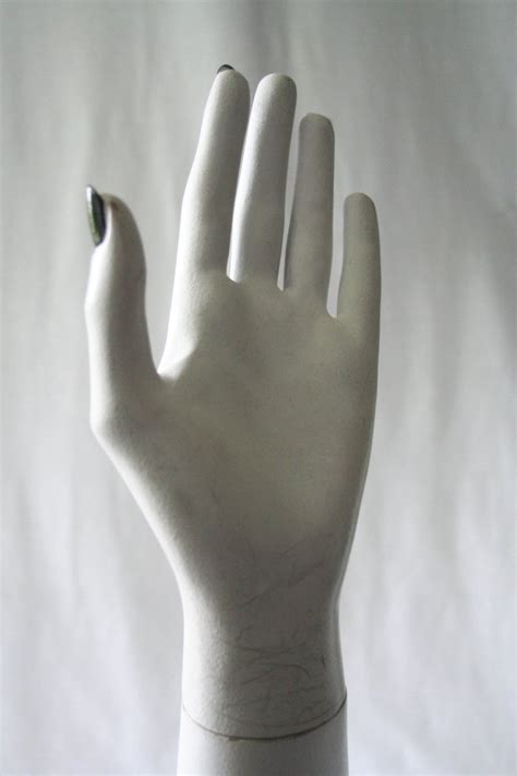 Mannequins Hand 4 Free Photo Download Freeimages