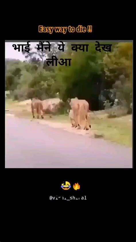 Pin By Avision On Pins By You Comedy Funny Videos Latest Funny