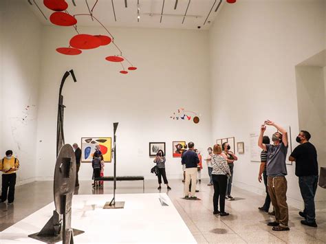 10 Best Museums In Houston