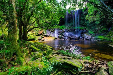 Tropical Rainforest Waterfall Beautiful Tropical Rainforest Waterfall