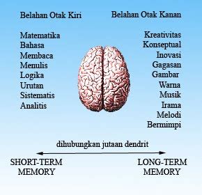 Dalam banyak literatur, otak kanan otak kiri dikatakan mempunyai fungsi yang berbeda. Merangsang Penggunaan Otak Kanan