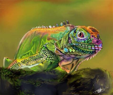 It has been estimated that more than half of the world's plant and animal species live in tropical rainforests. Iguana Info - Photo 4