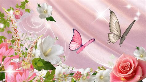 Pink White Butterflies With Flowers Hd Pink Butterfly Wallpapers Hd
