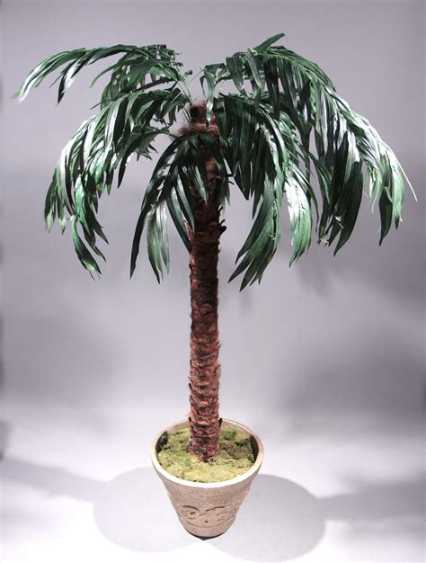 Potted Palm Trees West Coast Event Productions Inc