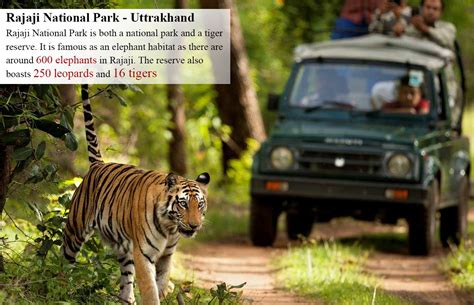 Rajaji National Park The Famed Rajaji Tiger Reserve Is Both A National