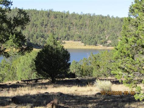 Site 25 Juniper Campground Quemado Lake