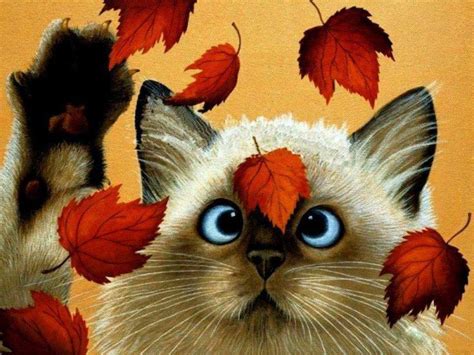 Cat Fall Leaves Gorgeous Cats Pinterest