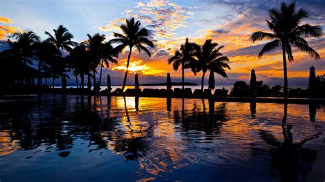 Wallpaper Palm Trees Pool Water Sea Resort Sunset