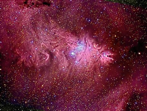 Christms Tree Cluster Cone Nebula Ngc2264