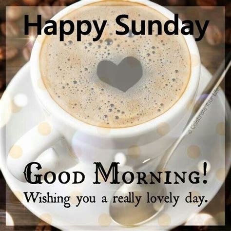 Best 32 Sunday Morning Memes Sunny Viral Good Morning Happy Sunday Good Sunday Morning
