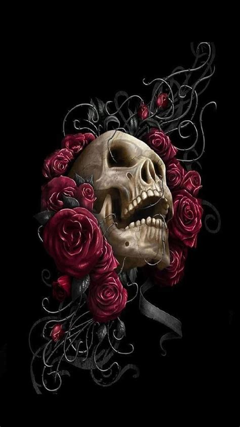 Rose Skulls Roses Hd Phone Wallpaper Peakpx